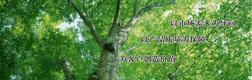 banner3